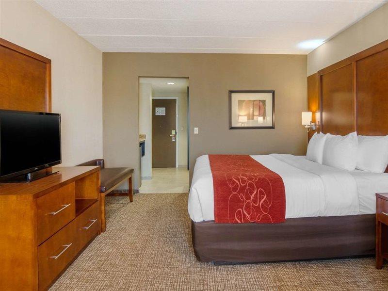 קולוניאל הייטס Comfort Suites Southpark מראה חיצוני תמונה