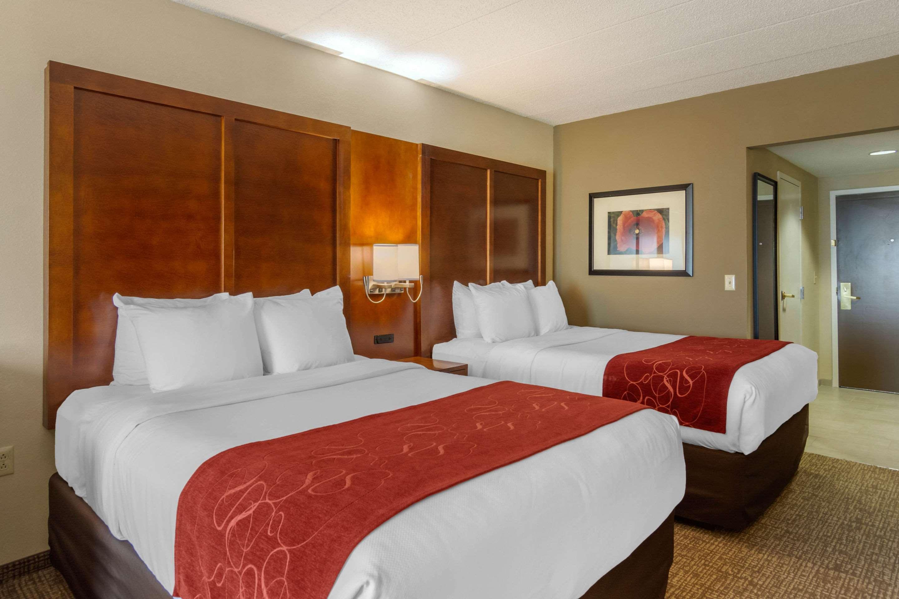 קולוניאל הייטס Comfort Suites Southpark מראה חיצוני תמונה