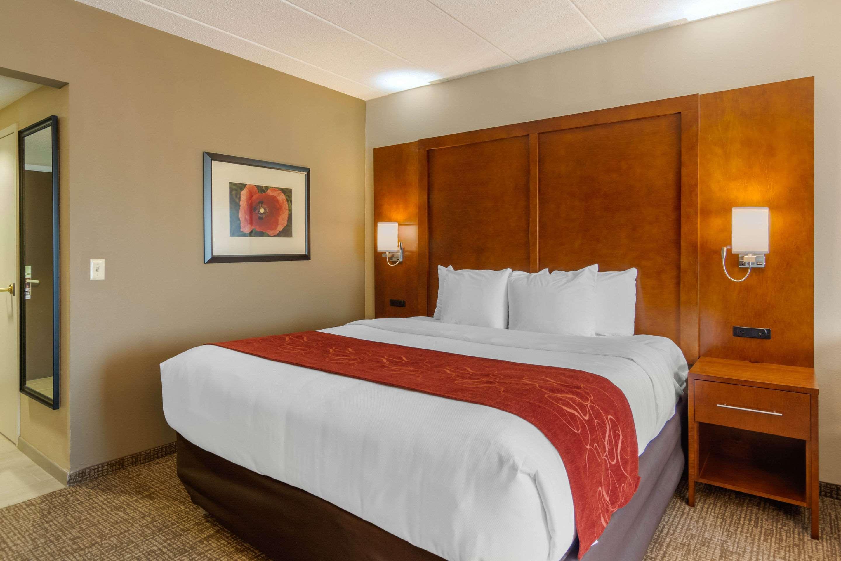 קולוניאל הייטס Comfort Suites Southpark מראה חיצוני תמונה