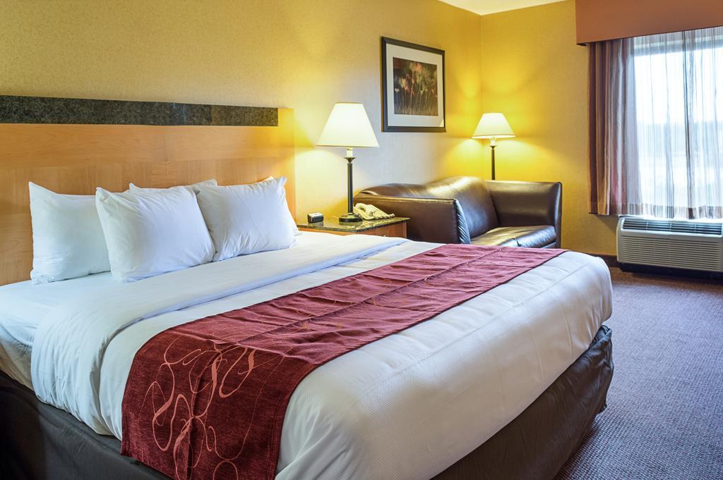 קולוניאל הייטס Comfort Suites Southpark מראה חיצוני תמונה